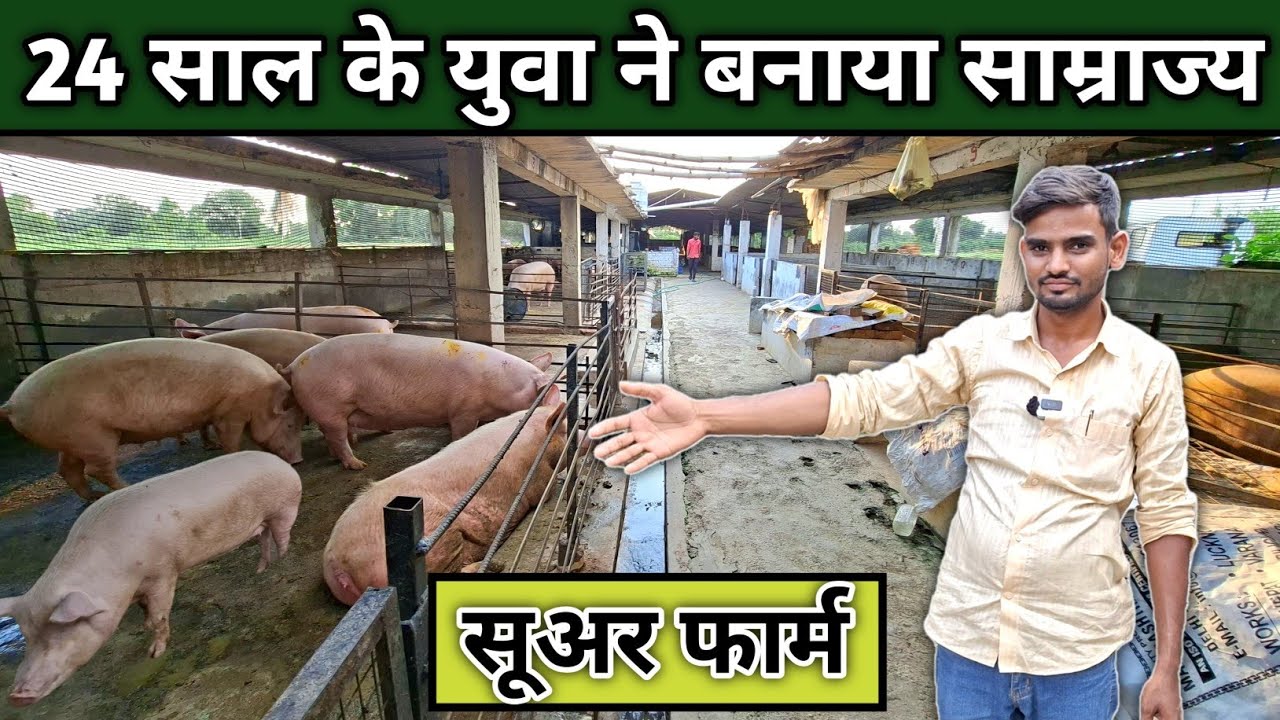 24 की उम्र में रचा इतिहास | बस्ती का सबसे बड़ा #पिग_फार्म | चाैधरी साहब की जबरदस्त कहानी #pigfarming