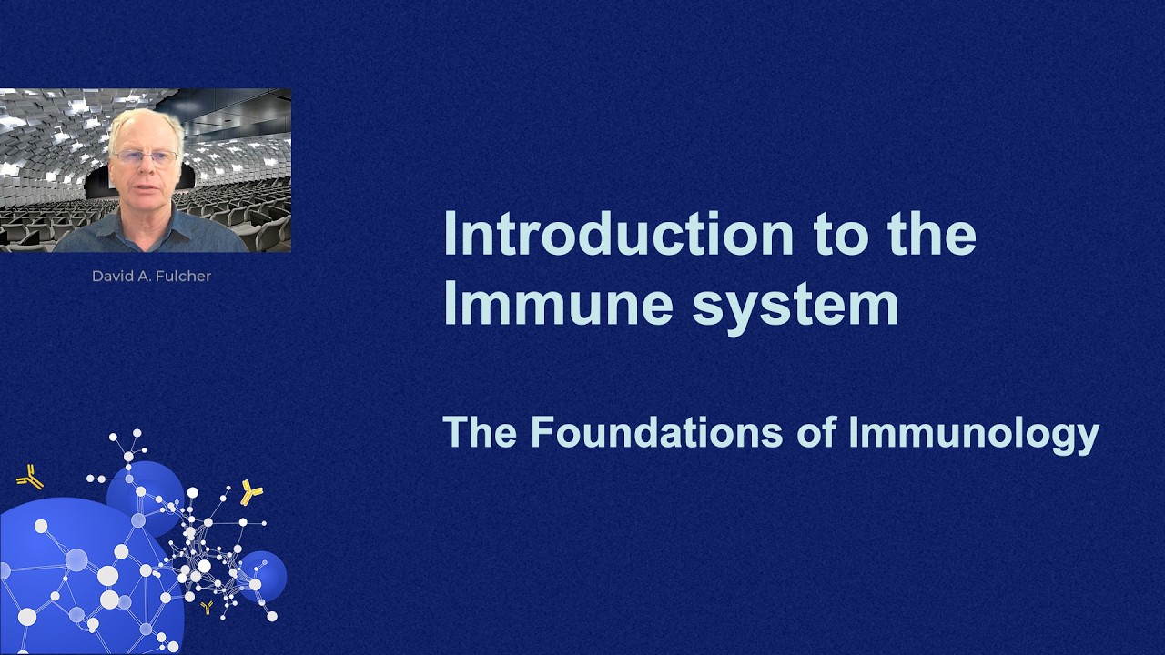 Clinical Immunology and Immunobiology (Introduction) | Basics of Immunology for Physicians