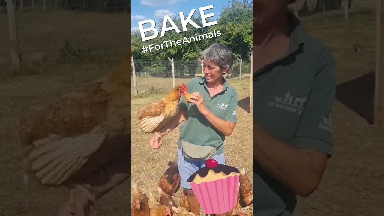 Bake #ForTheAnimals