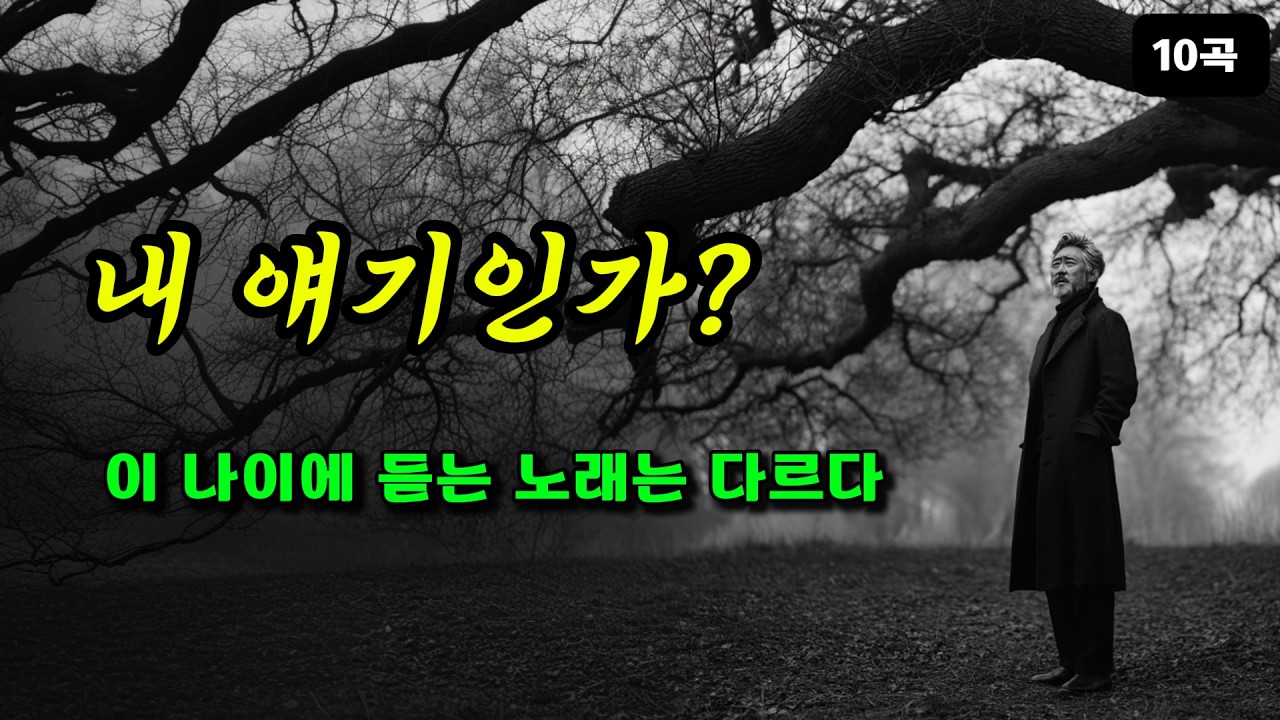 이 노래 뭐지? | 거친 목소리가 전하는 진한 위로 | 중년의 마음을 달래줄 트롯 발라드 10곡