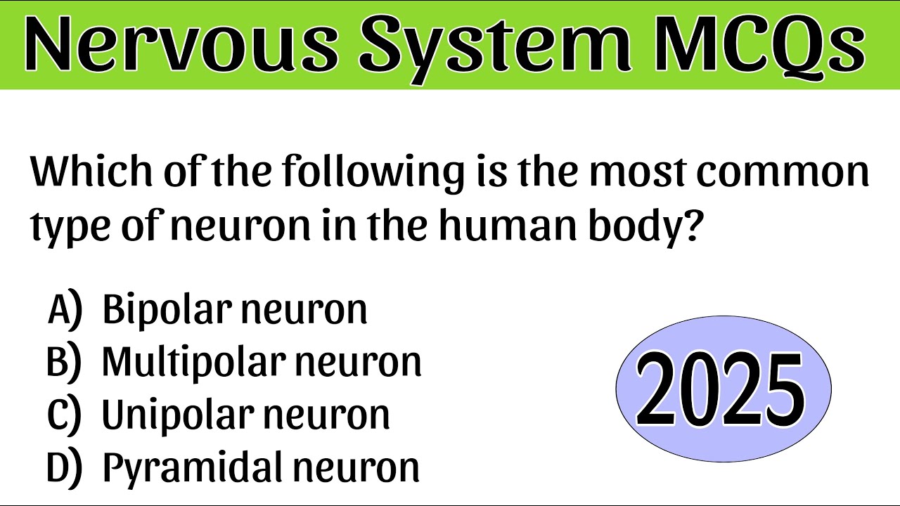 Nervous System MCQs 2025 | Nervous System Questions | MCQ On Nervous System