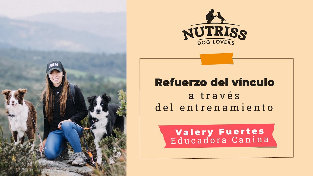 C&oacute;mo reforzar el v&iacute;nculo con tu perro