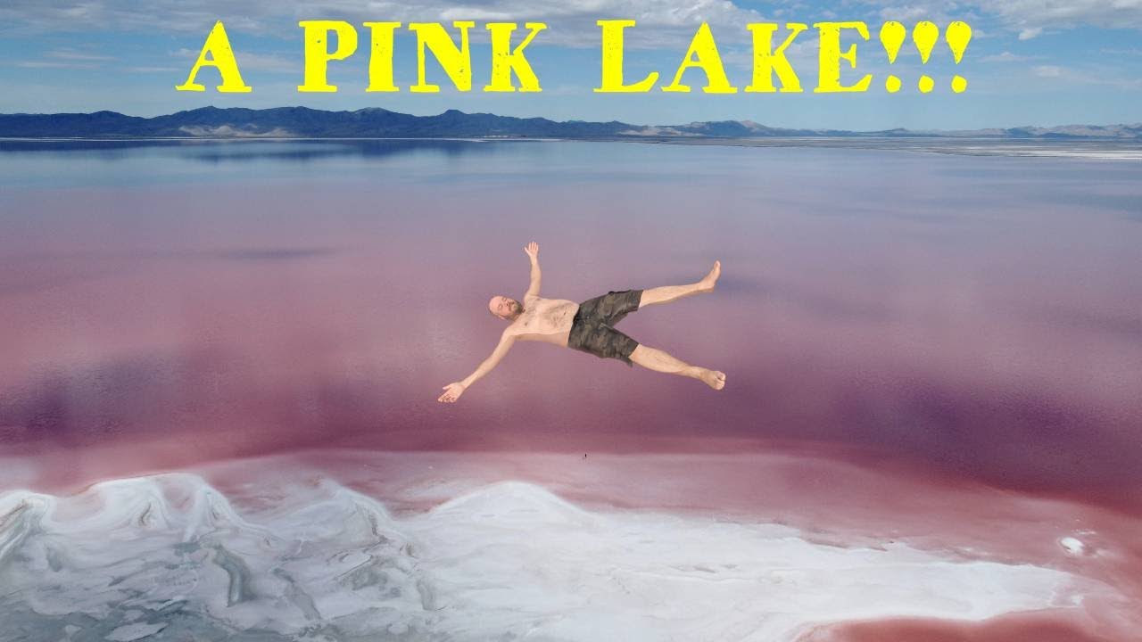A pink lake in Utah?! 🤯 Mini roadtrip Utah