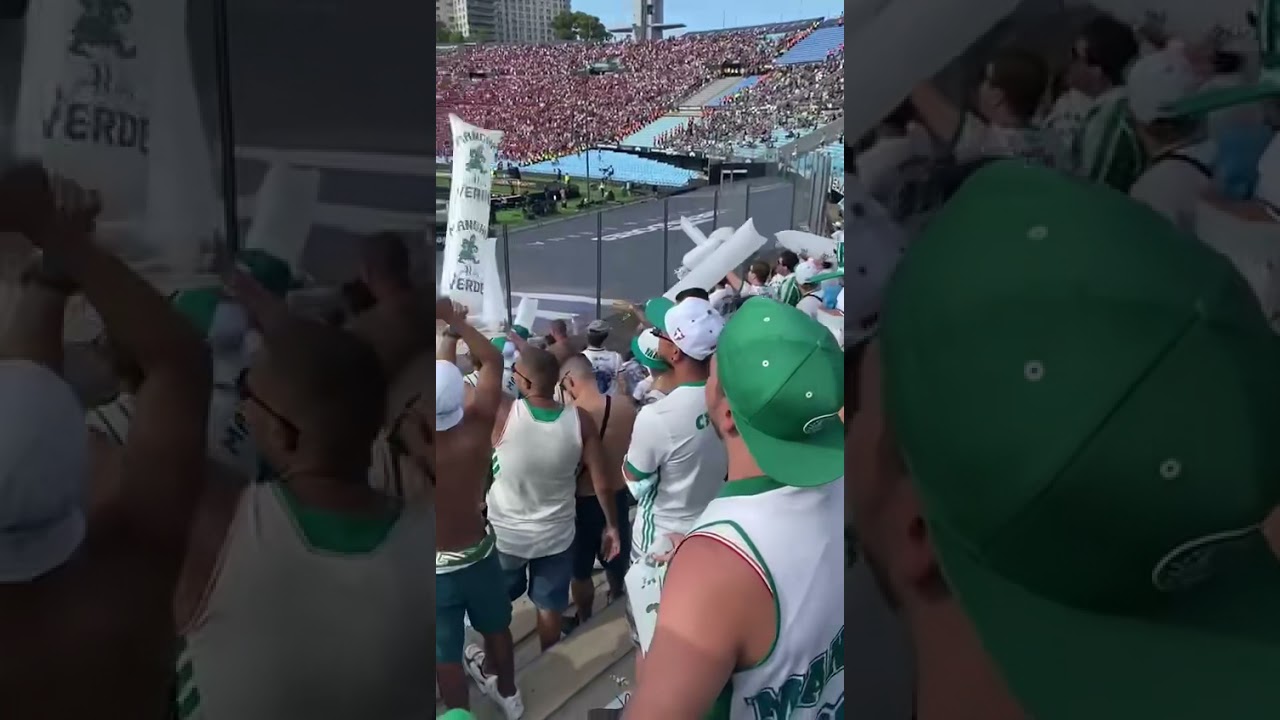 Torcida do Palmeiras zoando Anitta na final da Libertadores 2021