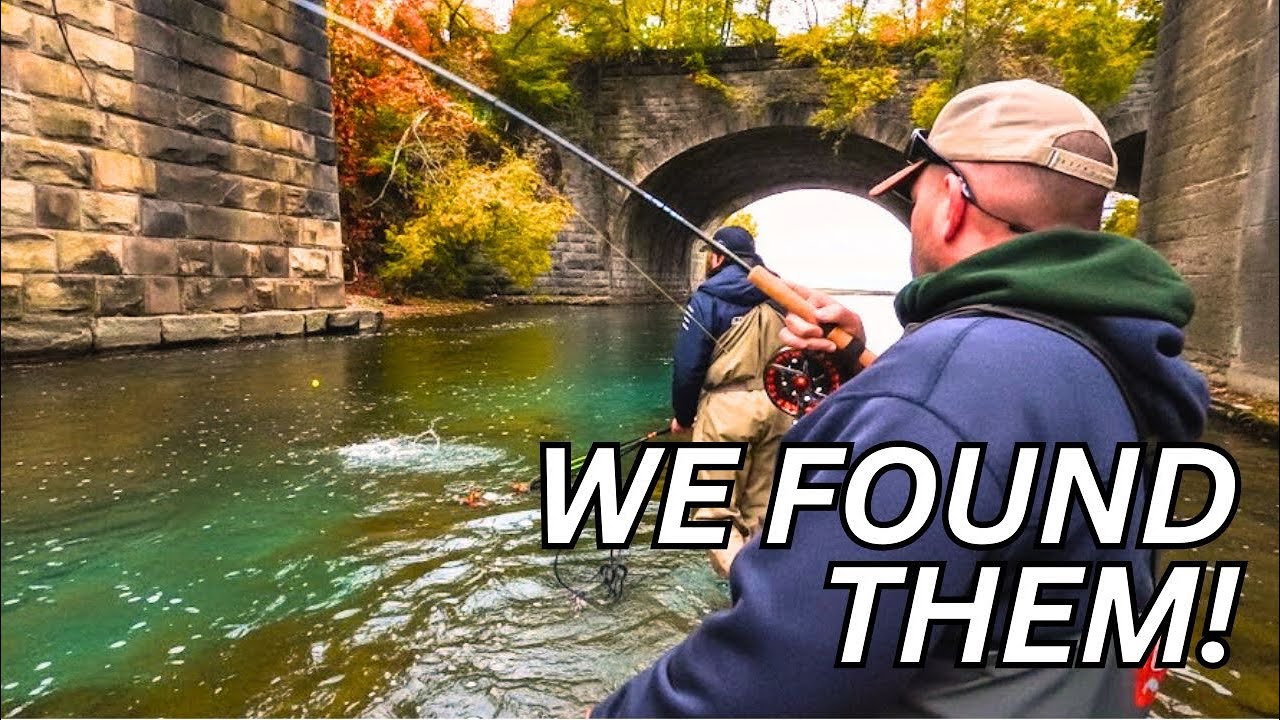 Erie STEELHEAD Have Arrived! | Float Fishing 101.