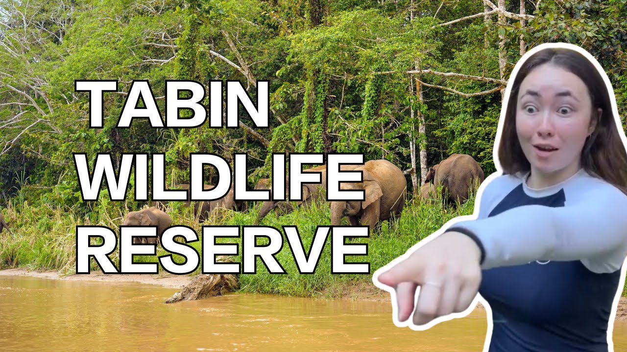 A Wild Adventure at Tabin Wildlife Reserve | Amazing Borneo