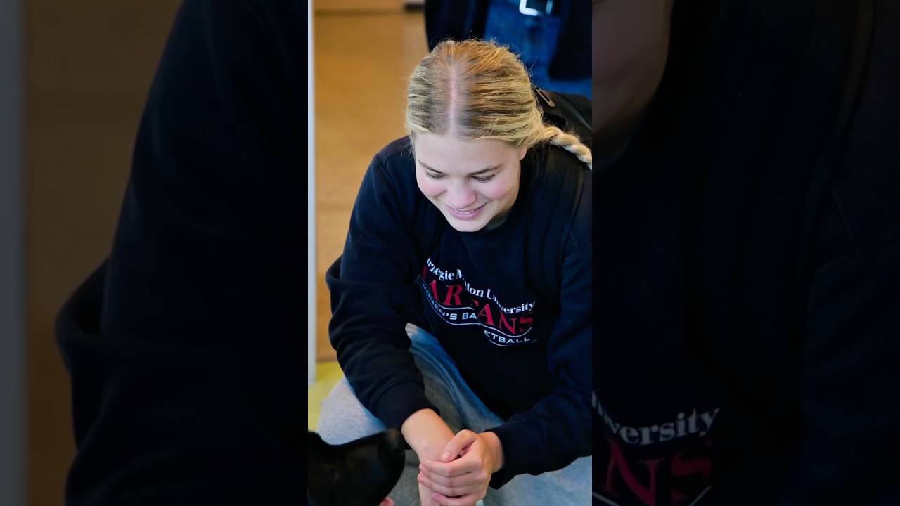 Get to Know the Highmark Center
