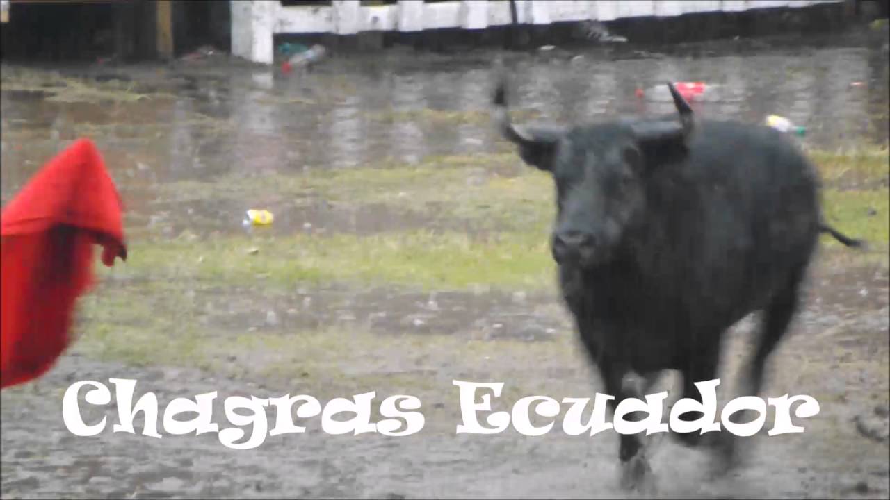 Toros popoulares Sangolqui 2016
