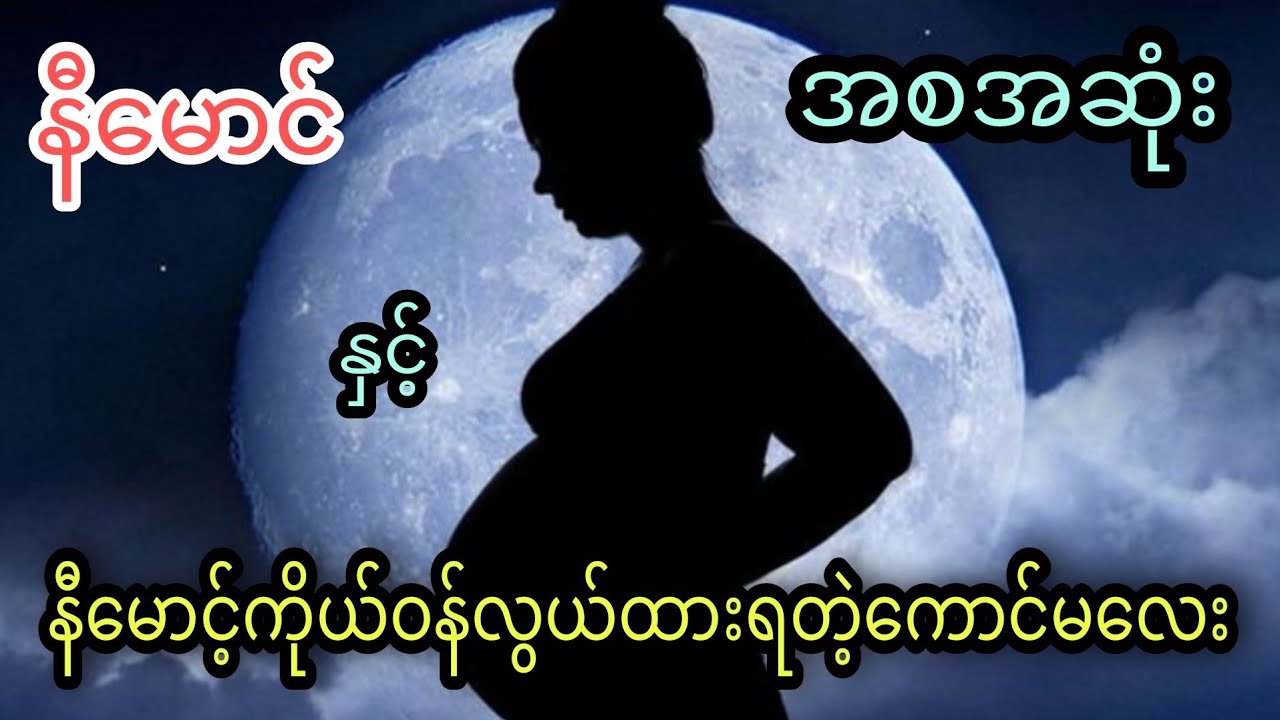 နီမောင် နှင့် နီမောင့်ကိုယ်ဝန်လွယ်ထားရတဲ့ကောင်မလေး (အစအဆုံး)