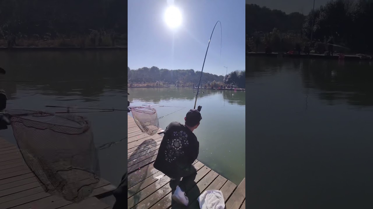 I caught the big fish🐟 Carp fishing🎣 Best fishing video 