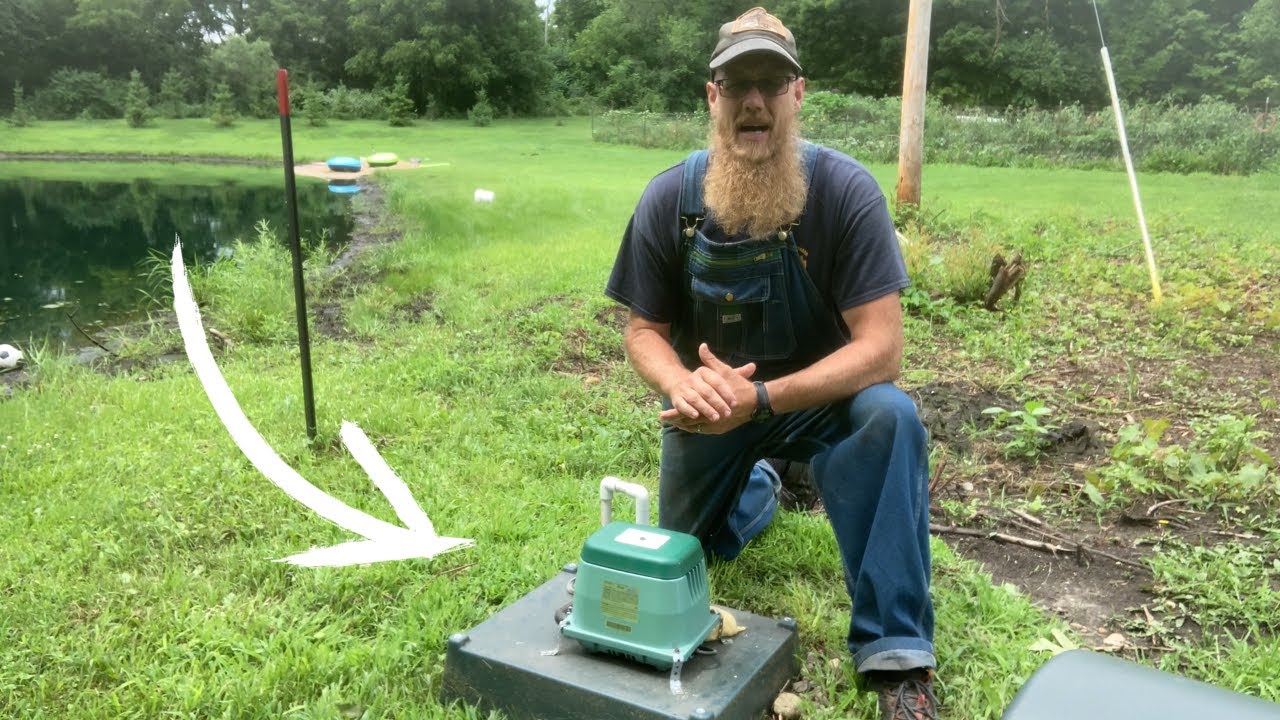2 Year Review Hiblow  HP-100ll Septic Pump - Pond Aerator
