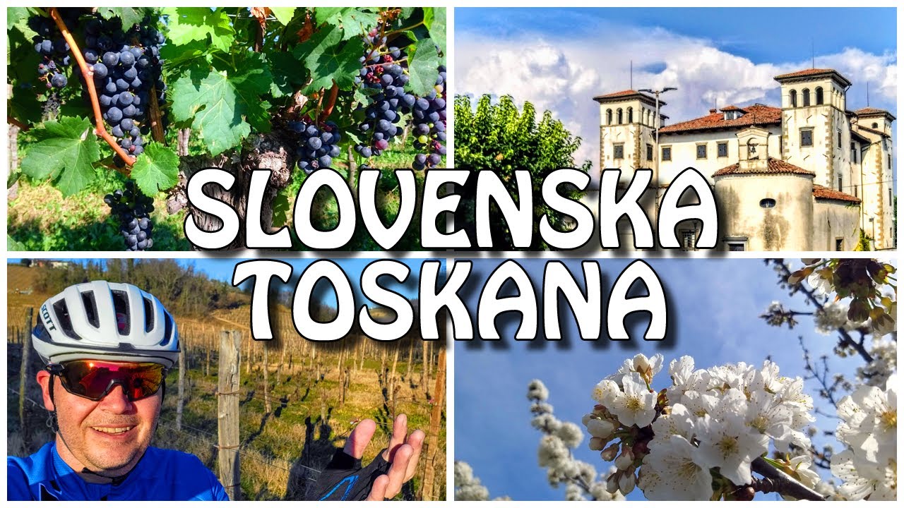 Goriška Brda: kolesarski raj!
