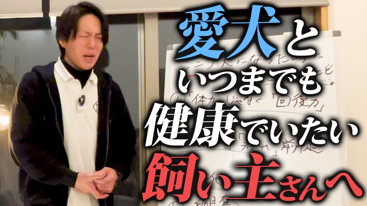 【全飼い主必見】長生き/シニア犬になる前に絶対知ってほしいこと5選【警察犬ドッグトレーナー解説】