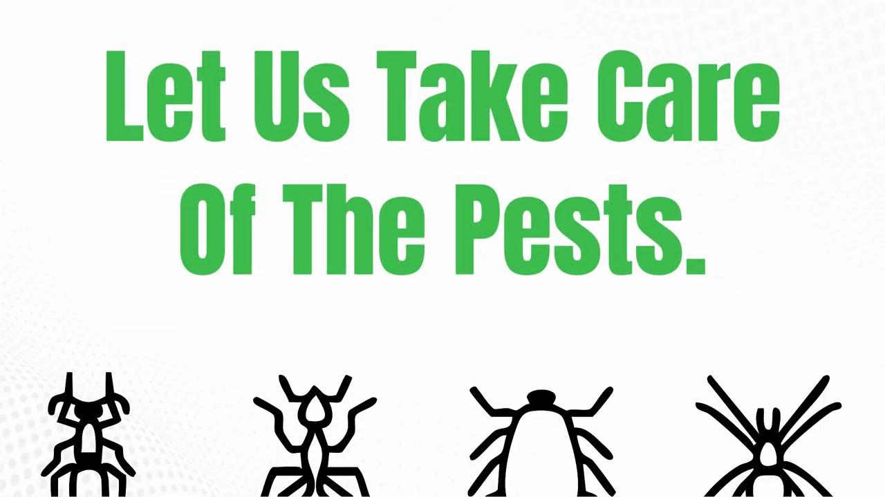 Pest Control Dubai | Trusted UAE Pest Experts &ndash; #dubai  , #ajman  & #sharjah #APCDubai