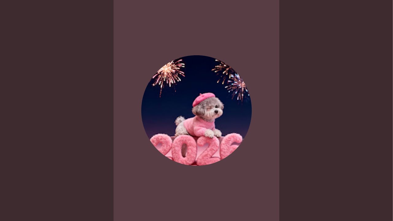 VIDEO thú vị  đang phát trực tiếp!