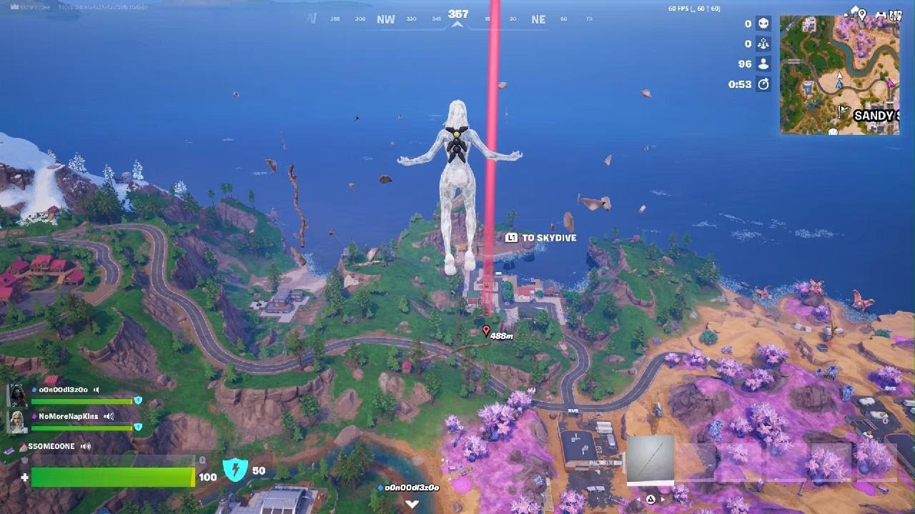 Fortnite W