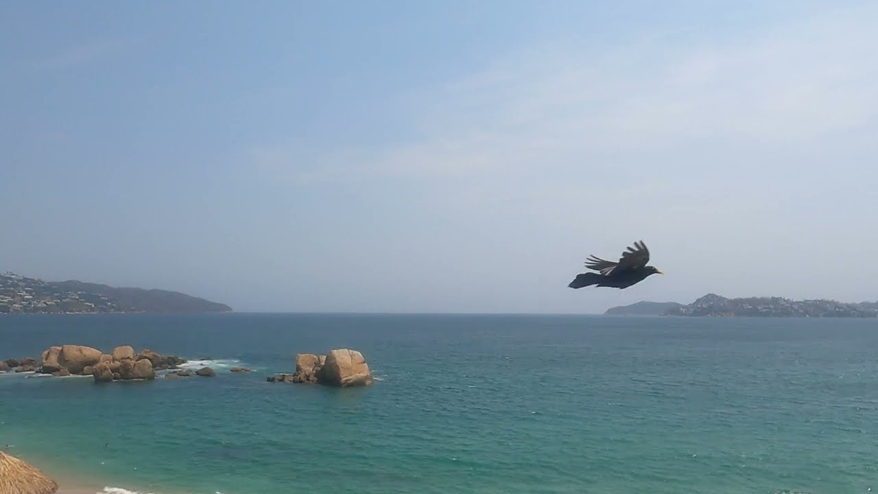 Acapulco en Calma: Un Viaje Sensorial Frente al Océano Pacífico
