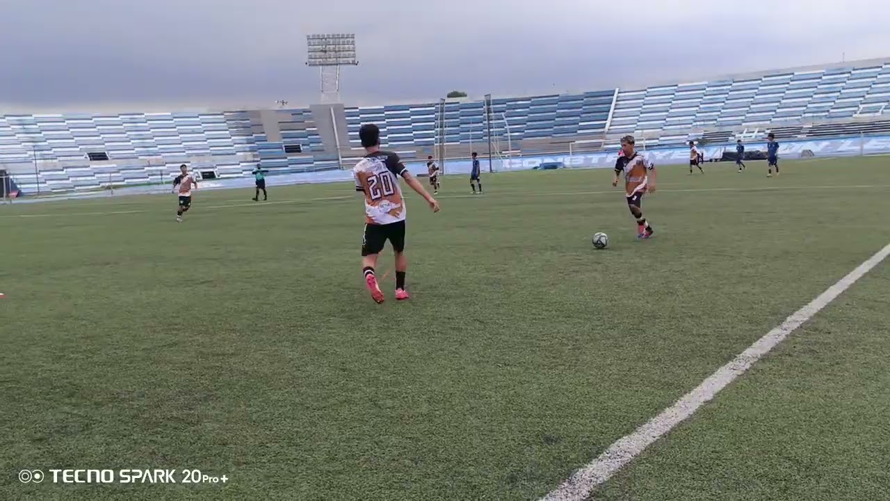 2T dorados