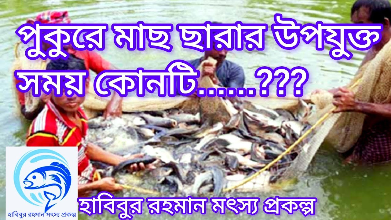 ২৭.. পুকুরে মাছ ছারার উপযুক্ত সময় কোনটি...?