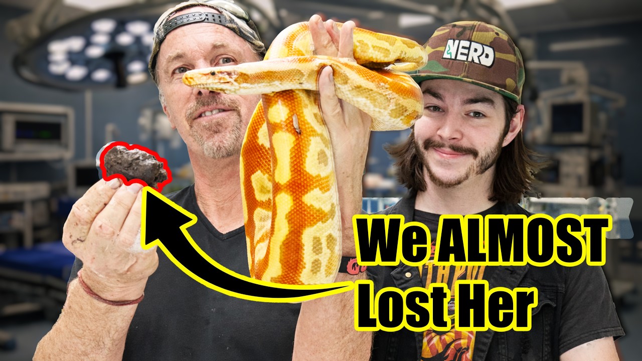 How We Saved This Snake's Life!