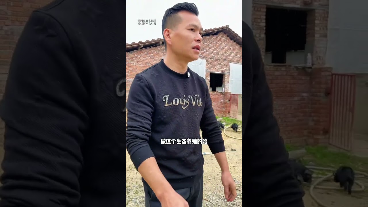 这一百多头猪，不只是猪，是那娘儿几个的全部希望，……#人间温暖 #散养跑山猪