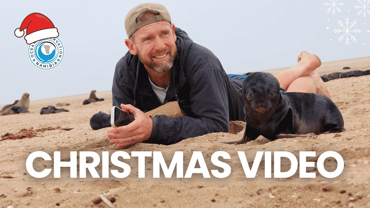 Happy Holidays From The OCN Team!