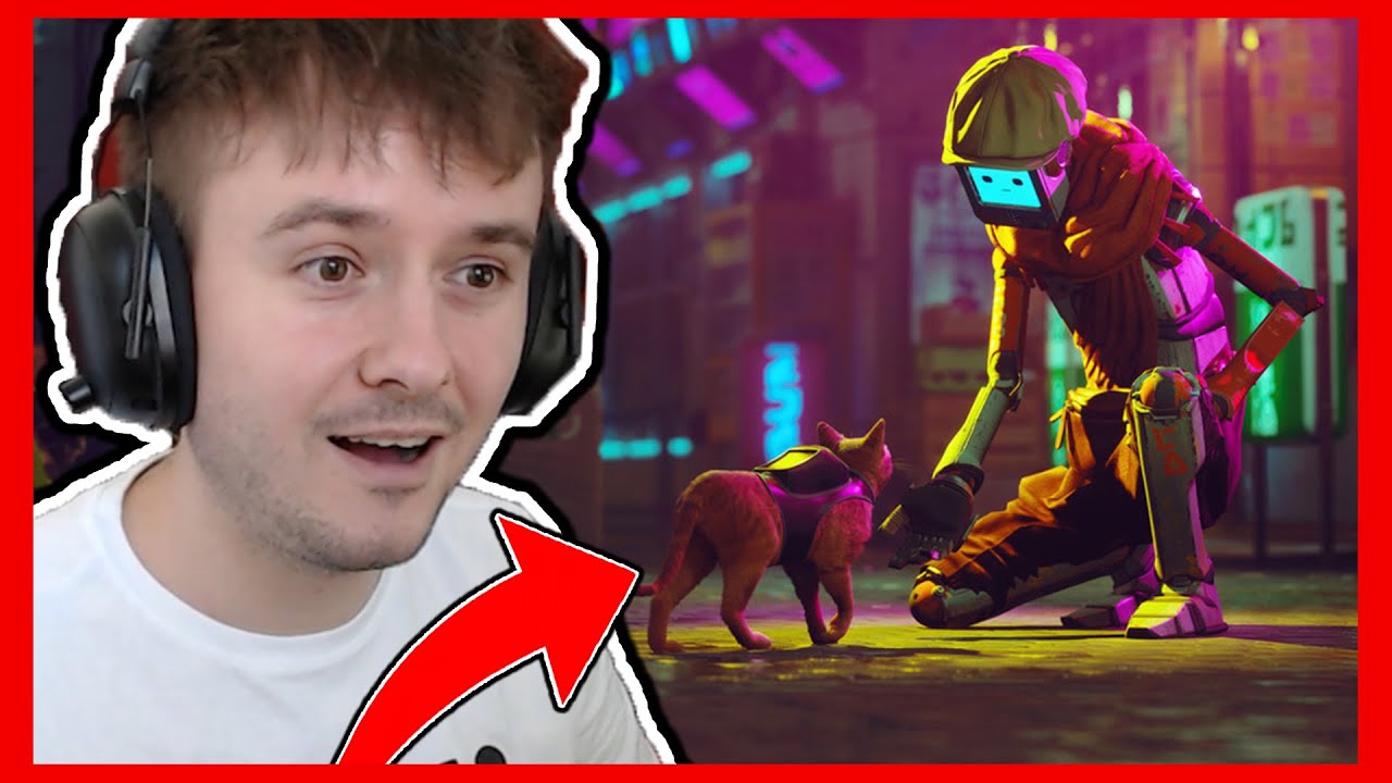 MÁM NOVÉHO KOČIČÍHO KAMARÁDA! #2