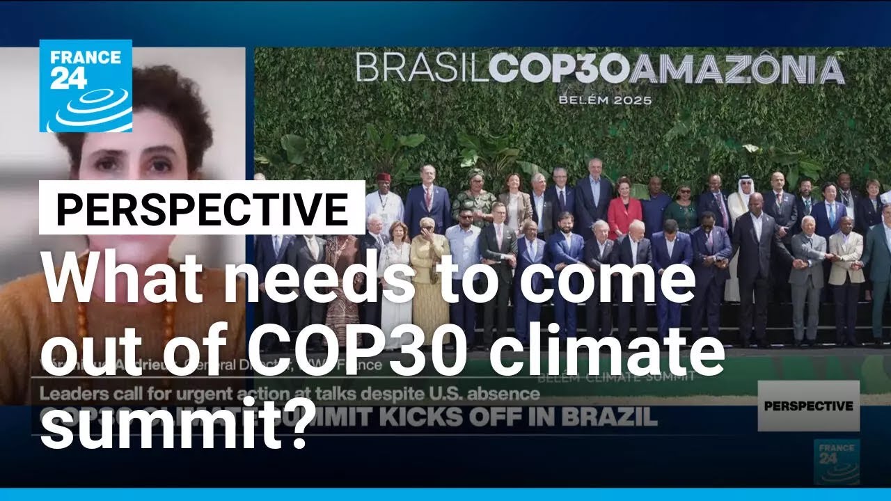 COP30 climate summit: 'We expect action and implementation,' head of WWF France says &bull; FRANCE 24