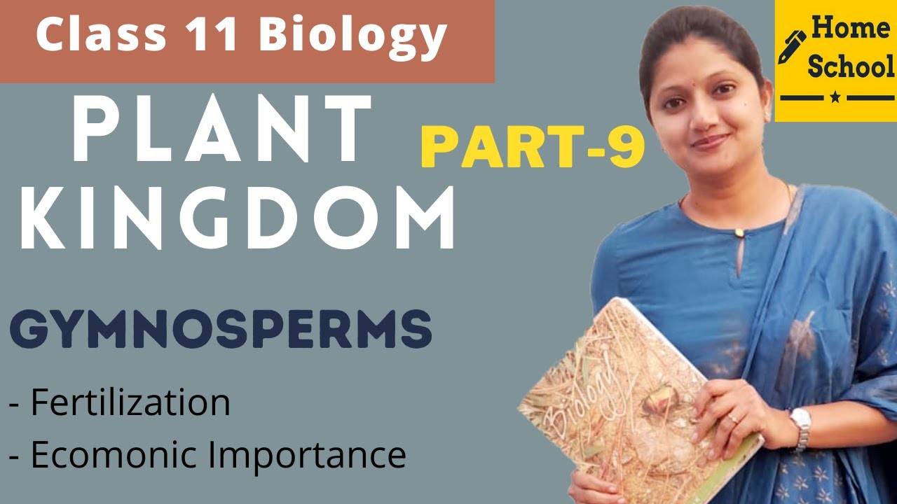 Plant kingdom Biology Class 11 | Gymnosperms | Part-9