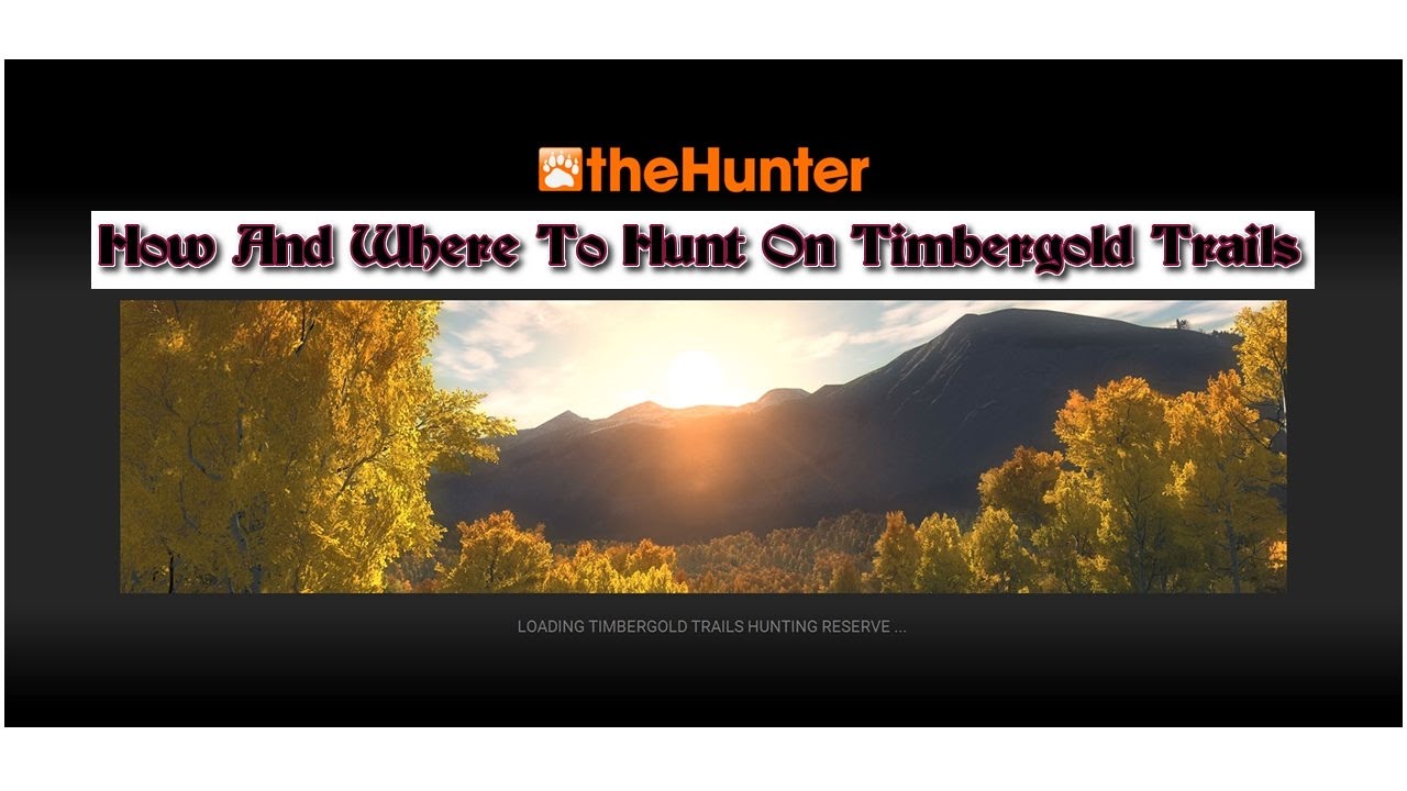 TheHunter - How And Where To Hunt On Timbergold Trails - Full Hunt
