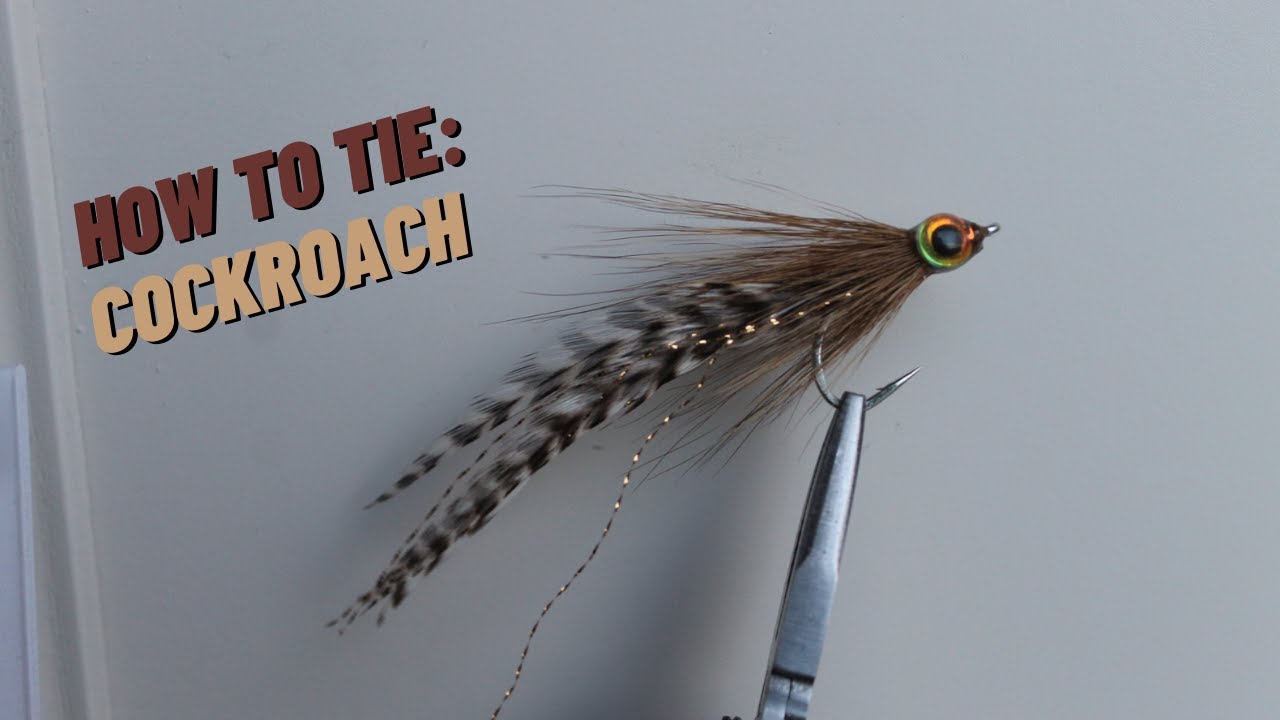 Fly Tying Tutorial - Cockroach Tarpon Fly