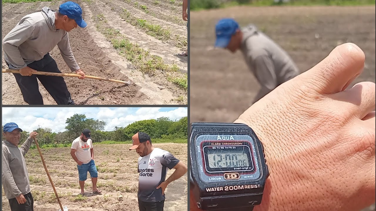 Quando chegar o inverno o Nordestino não tem día e hora para trabalhar!! Conheça o agricultor Fabio.