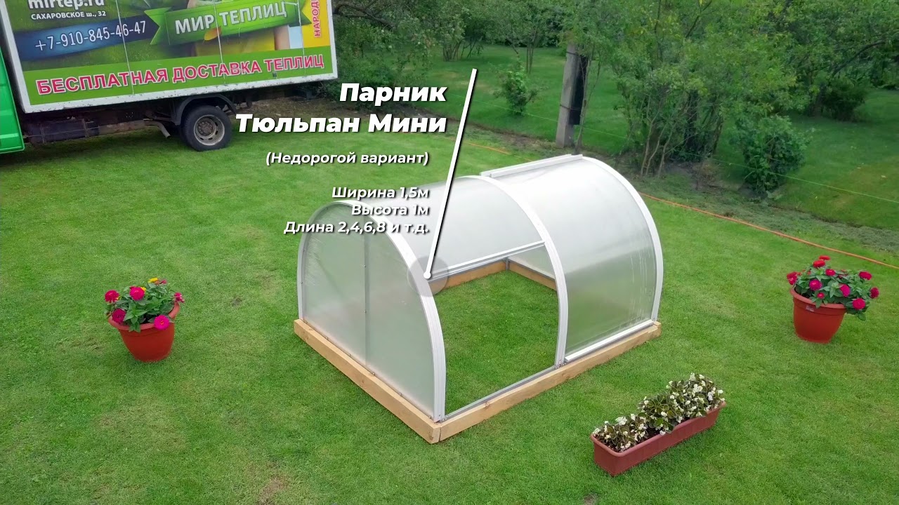 Обзор Парника Тюльпан Мини 2021