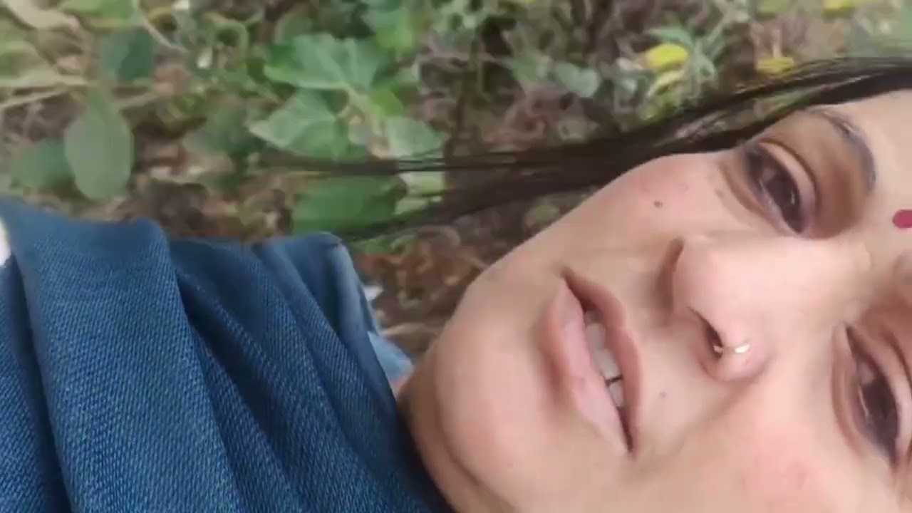  gay ke liye chara 🐄🐄