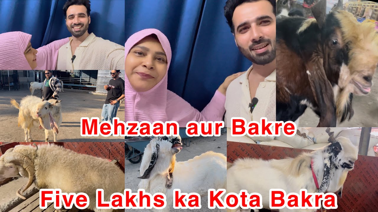 5 lakhs ka Kota Bakra? 😎 | Goat Farms in Maharashtra #vlog #vlogging 