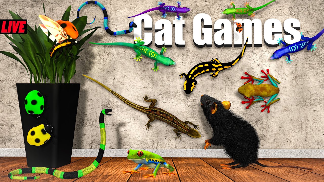 Cat TV Live 24/7 – Fast Moving Lizards, Frogs & Real Mouse Sounds | Cat Games in 4K