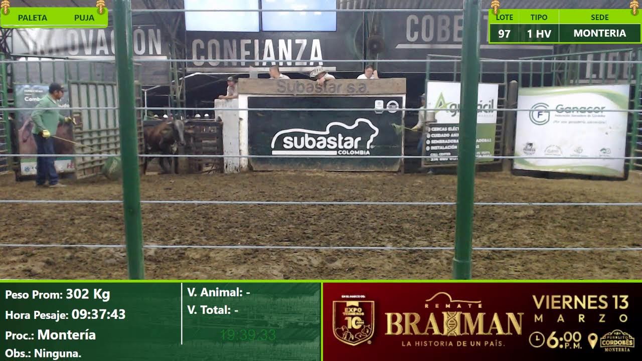 Subasta Virtual - Presencia Monteria E(5) 13-02-2026
