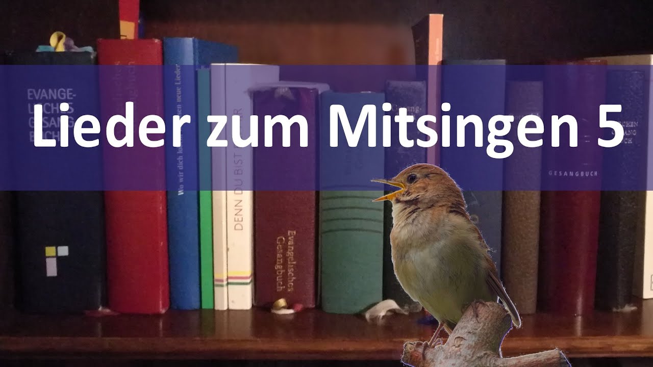 Lieder zum Mitsingen 5