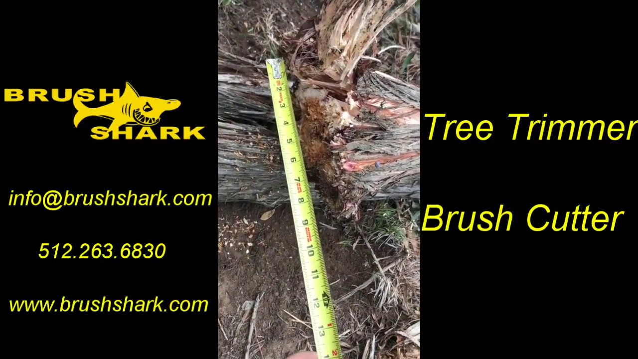 Brushshark Skid Steer Attachment Large Diameter Tree 1