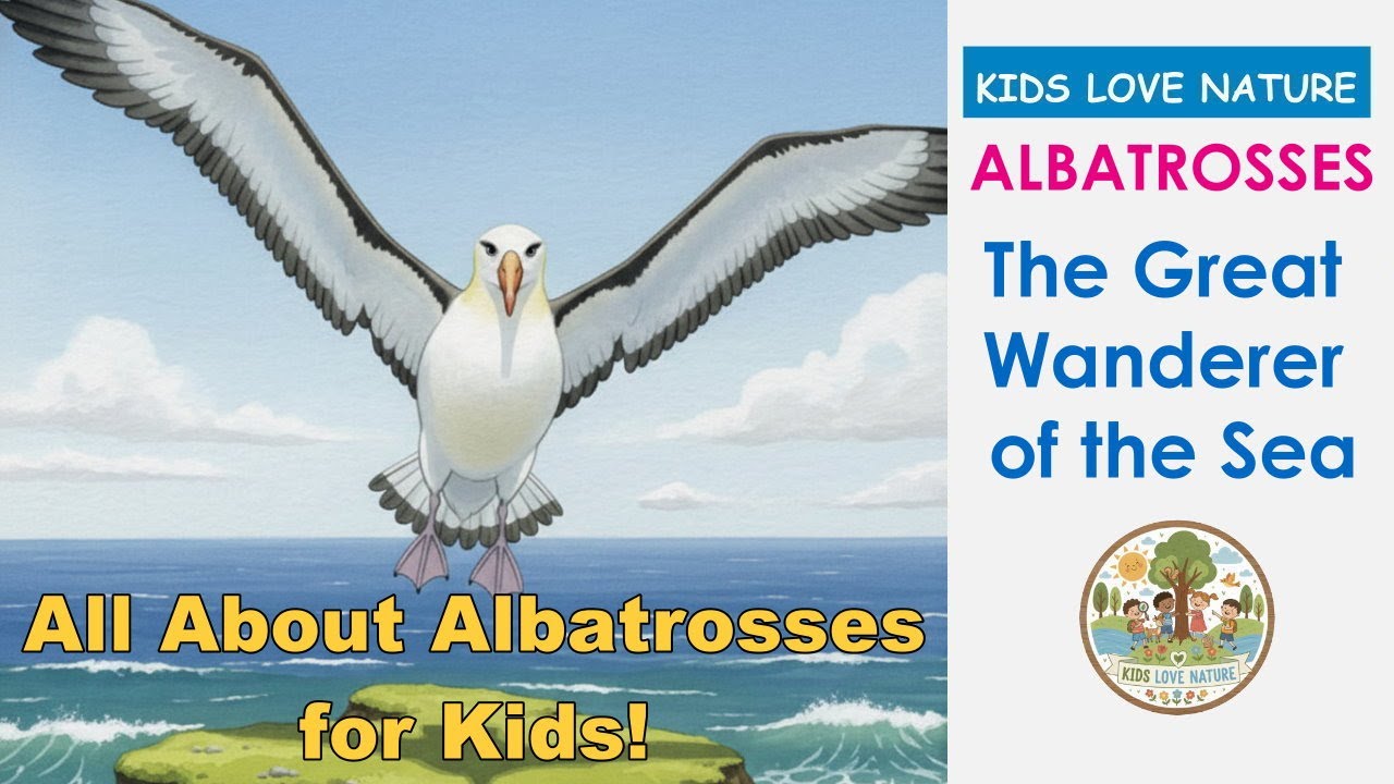 All About Albatrosses for Kids! 🦅 Giant Wings, Sleep While Flying & Ocean Travels (Bedtime Story)
