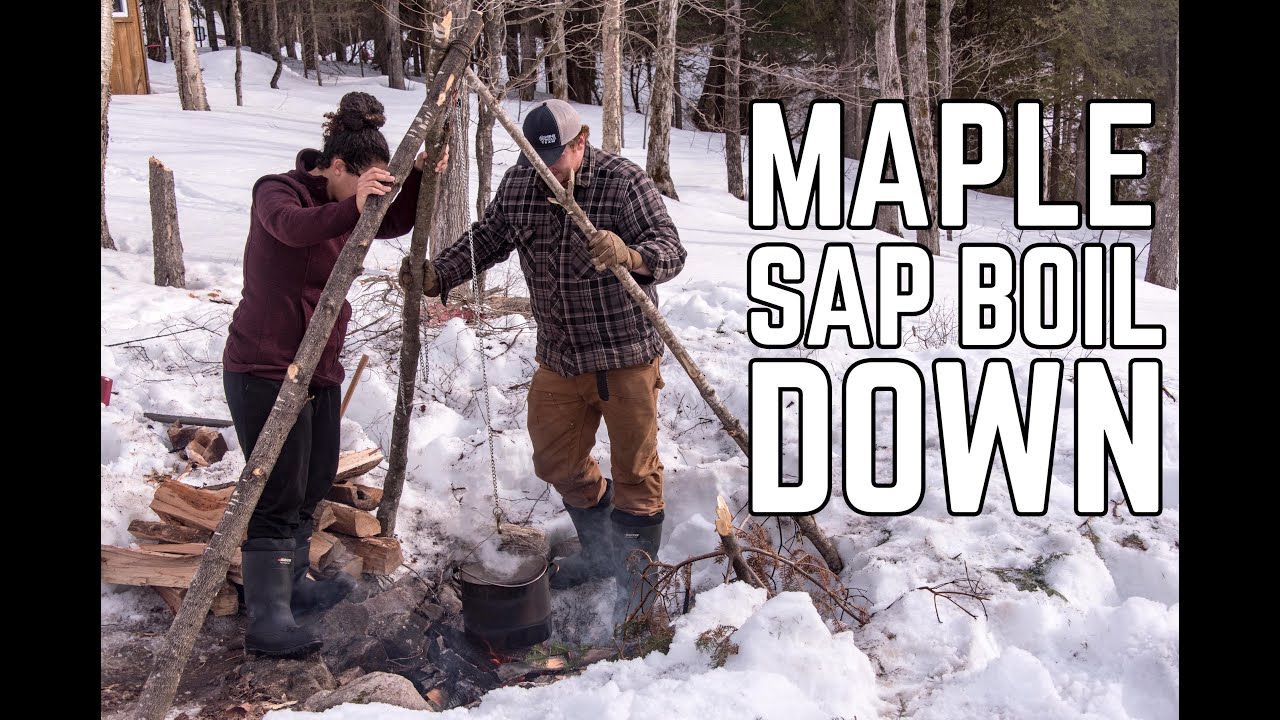 How to Make Your Own Real Maple Syrup