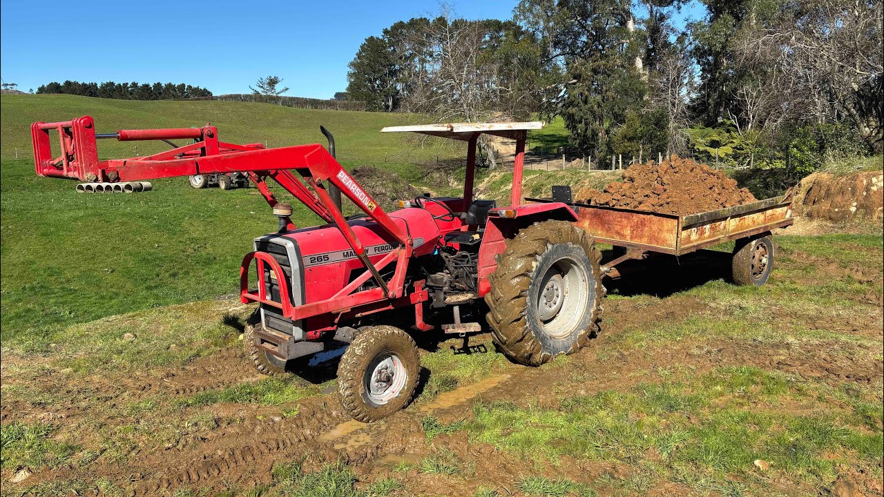 The Massey Ferguson 265 loves it