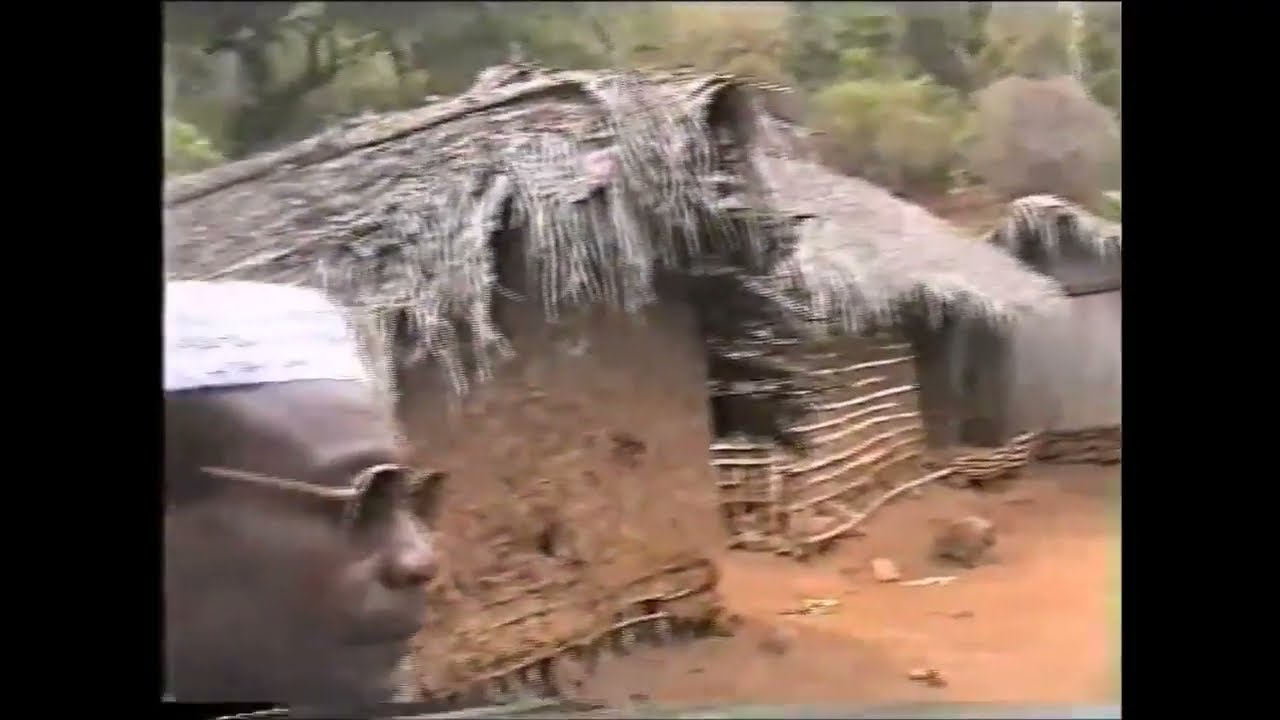 Acoua en 1995