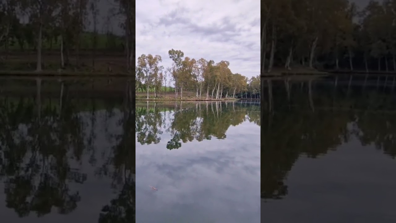 Ekolago Manzolini #lake #italy #fishing