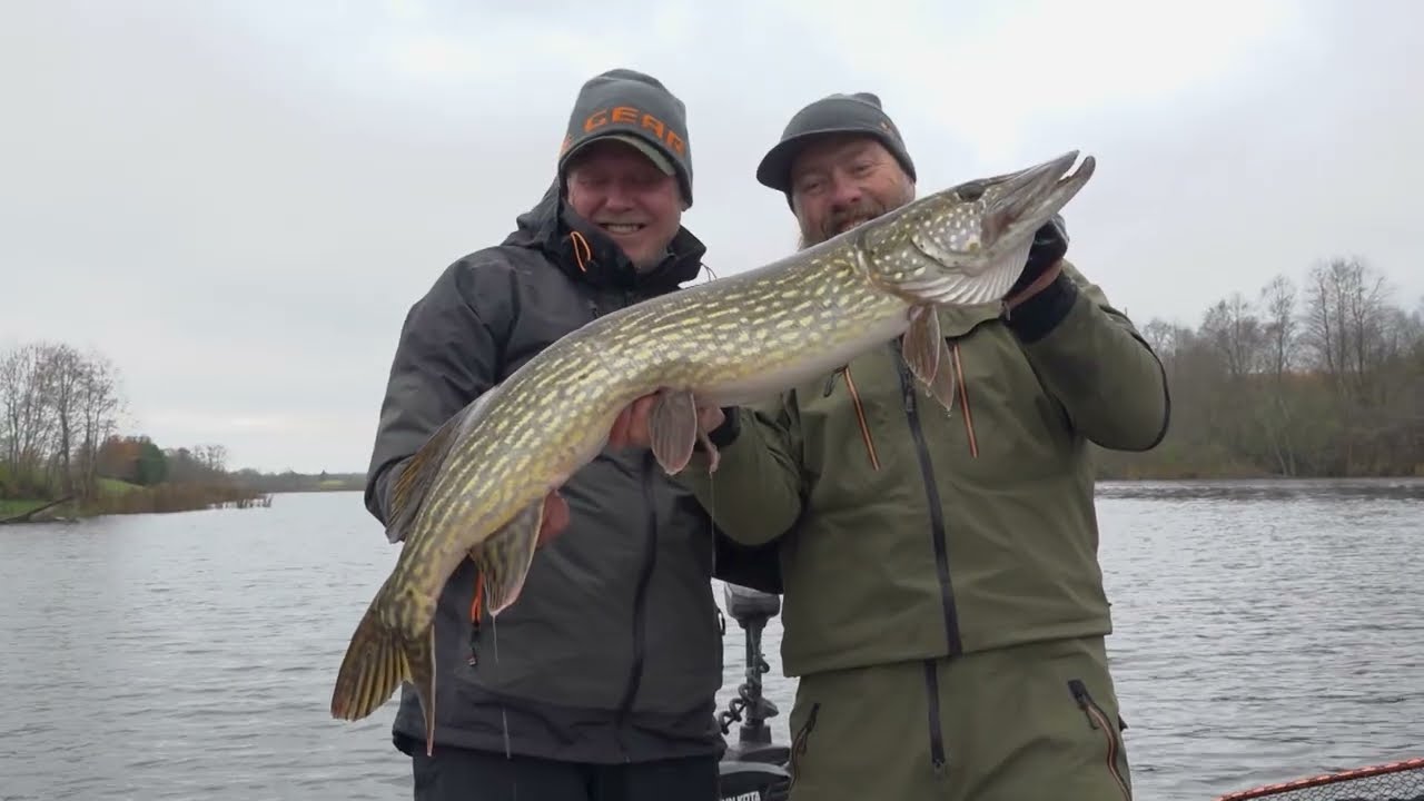 Lydekos užtvankoje, guma. TV