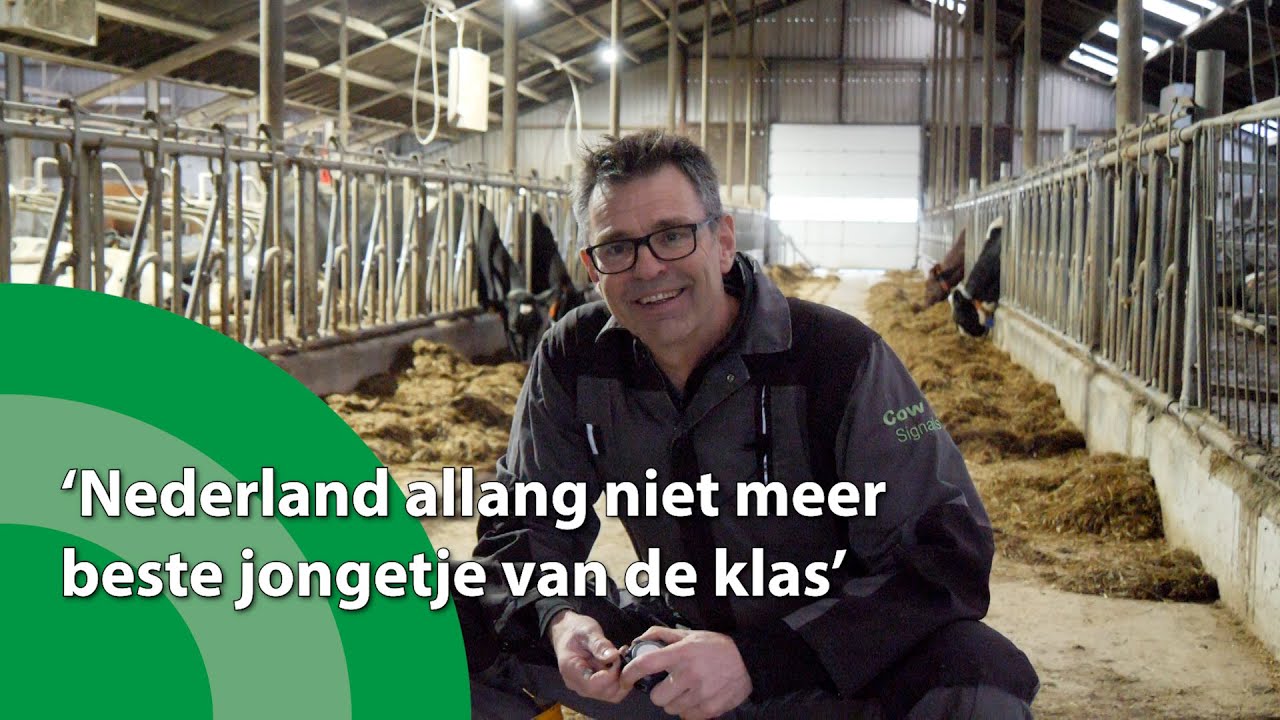 Koeienfluisteraar en veearts traint boeren in meer dan zeventig landen