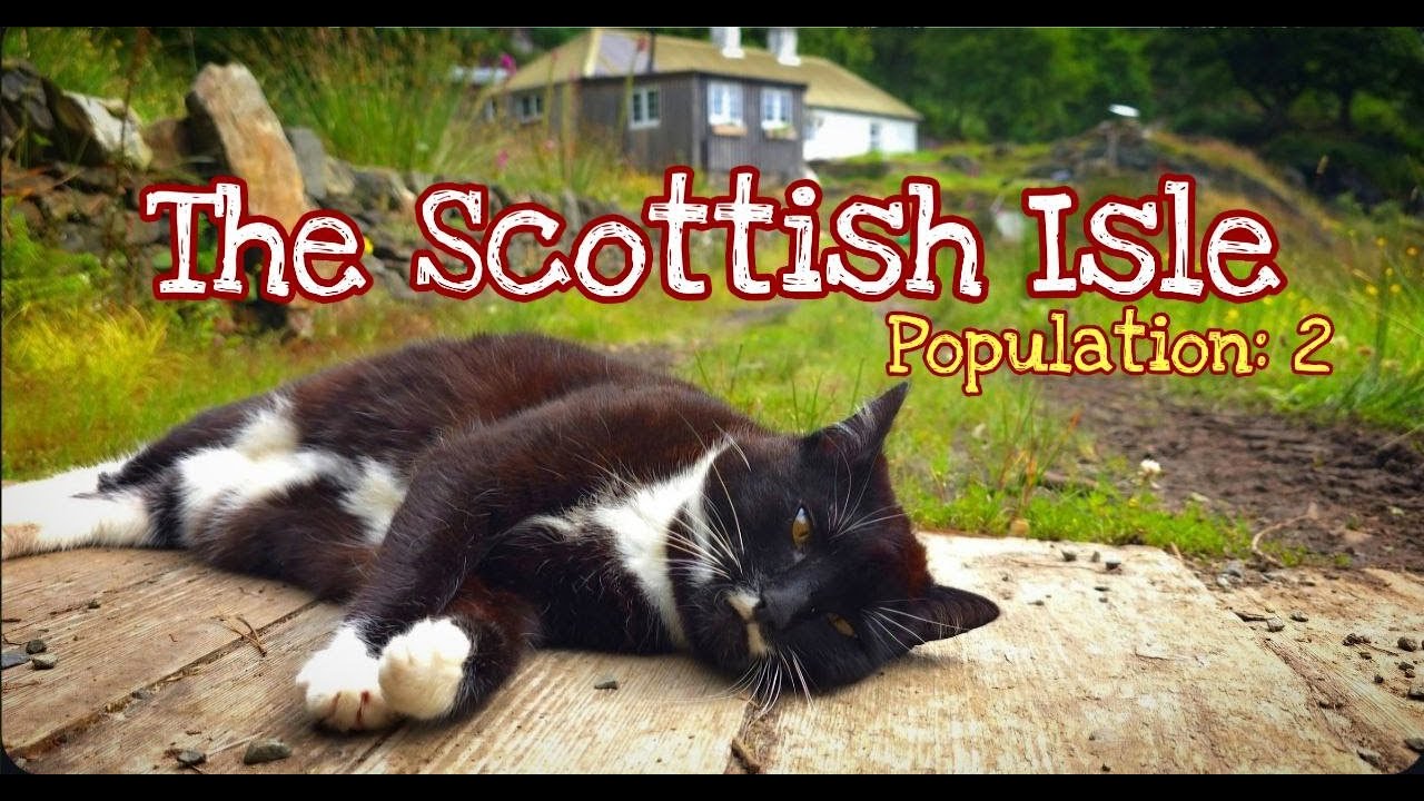Yes! We Found a Way to Fix the Floor! Cottage Renovation; Island Life Vlog; Garden Rescue