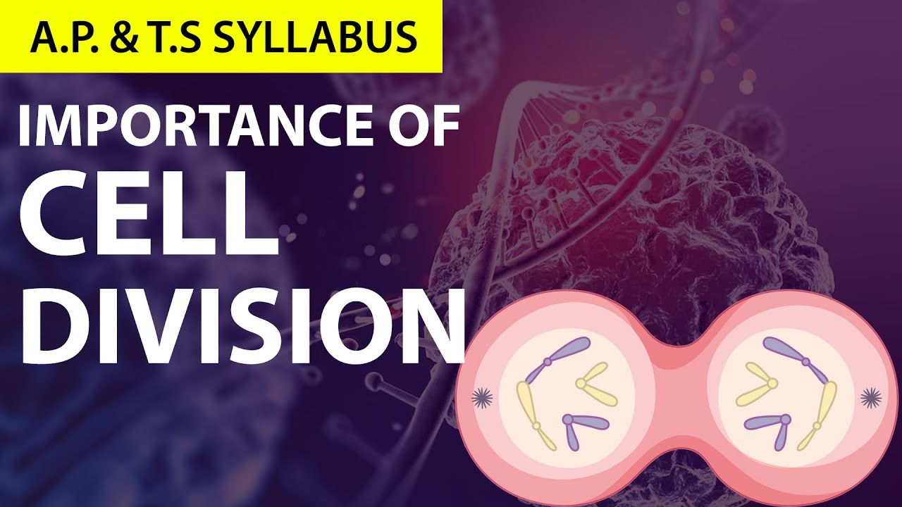 #Cell division & its importance 10|  Explanation in Telugu | 10th Biology Ch 6 |AP & TS Syllabus