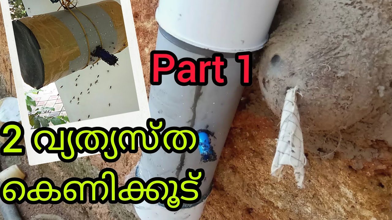 രണ്ട് വ്യത്യസ്ത കെണിക്കൂട് | Catching swarm bees