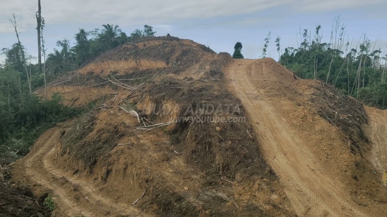 CARA MENERES BUKIT/GUNUNG MENGUNAKAN EXCAVATOR SPREADING.
